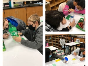 ARD Segal Sorting activity